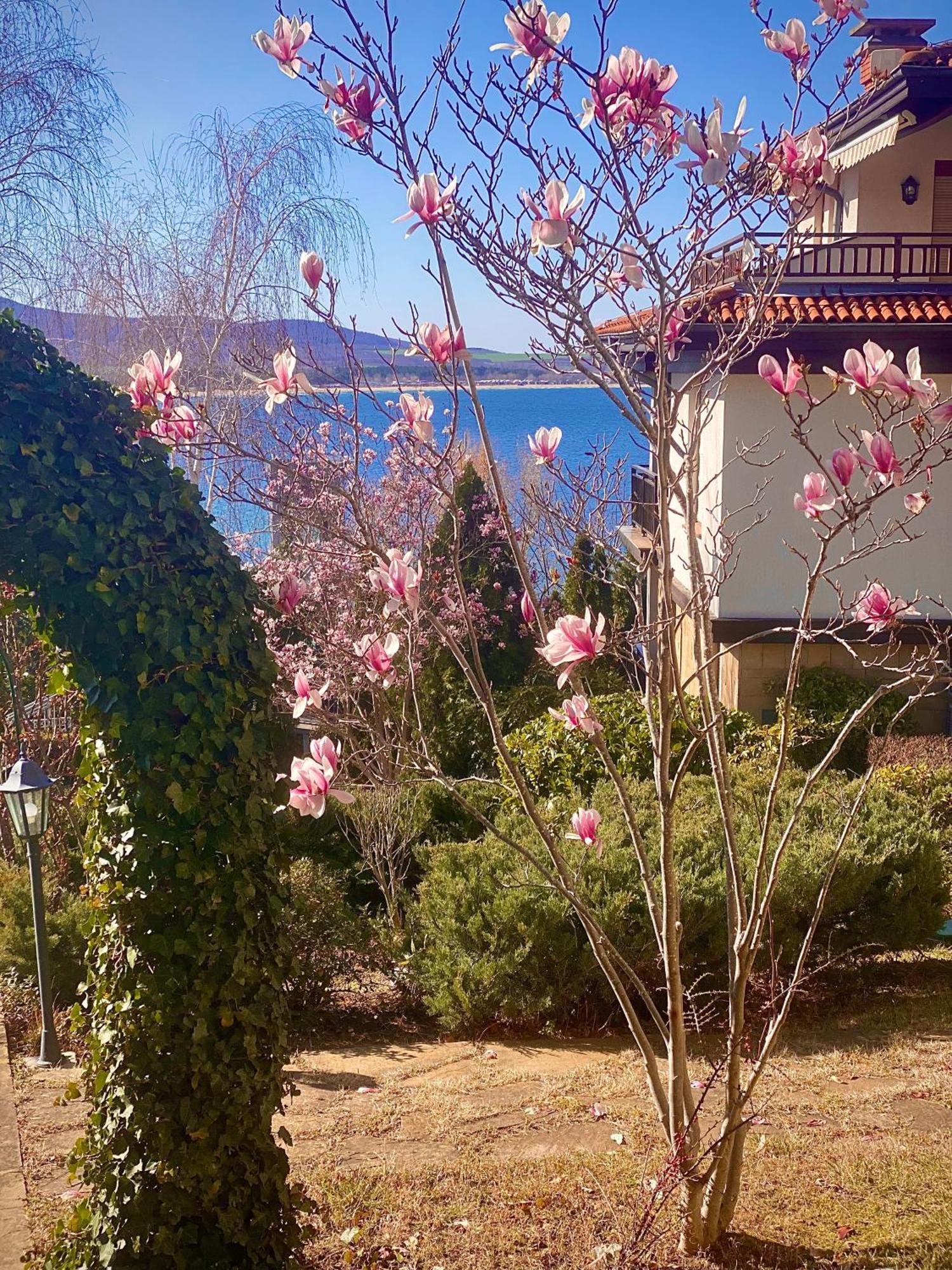 Aj Apartment 1 With Pool View, Santa Marina Holiday Village, Sozopol Exterior foto